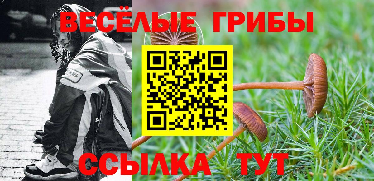 Галлюциногенные грибы Psilocybe Соликамск